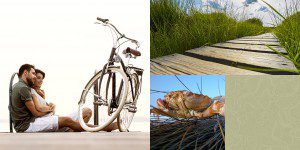 A bicycle, crab and wooden walkway with grass